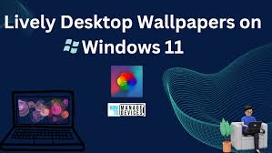 与桌面性能及动态壁纸相关的示意图